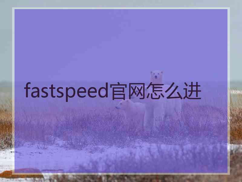 fastspeed官网怎么进