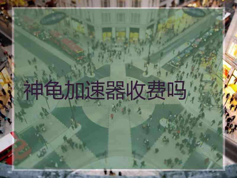 神龟加速器收费吗