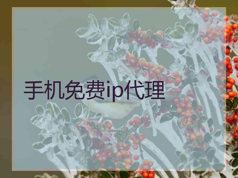 手机免费ip代理