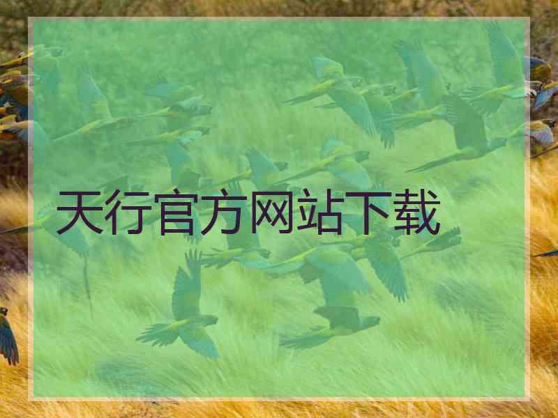 天行官方网站下载