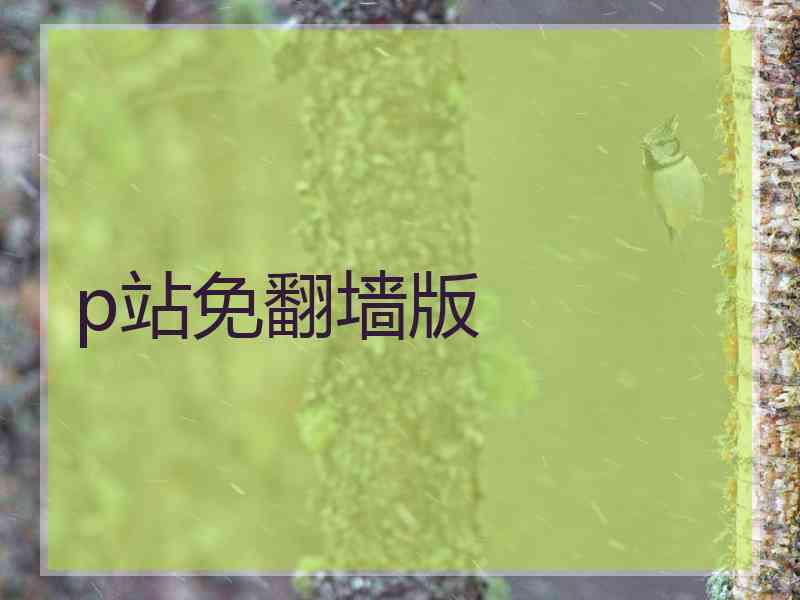 p站免翻墙版