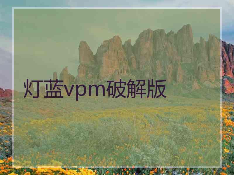 灯蓝vpm破解版