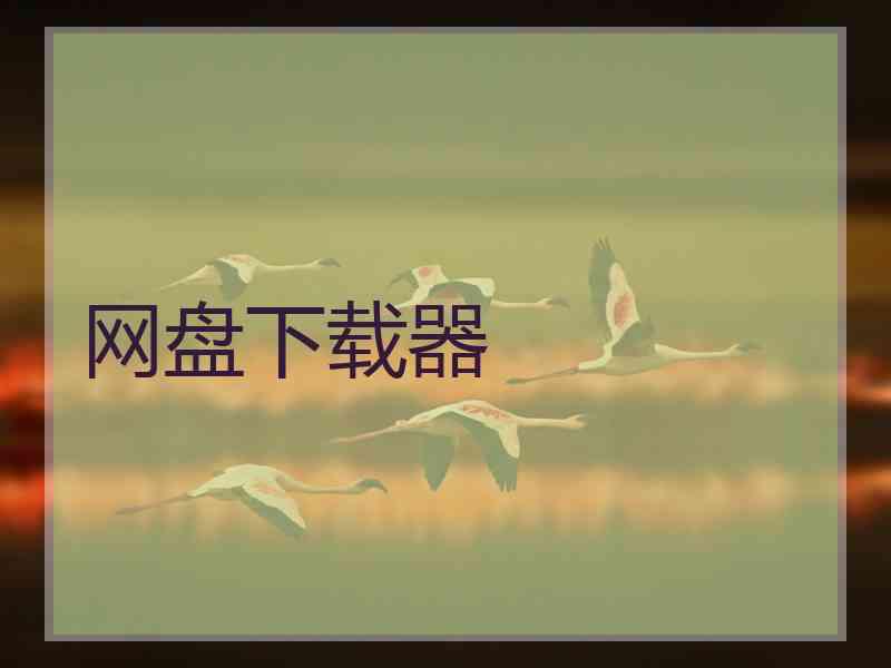 网盘下载器