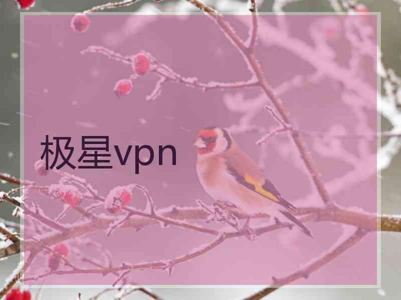 极星vpn
