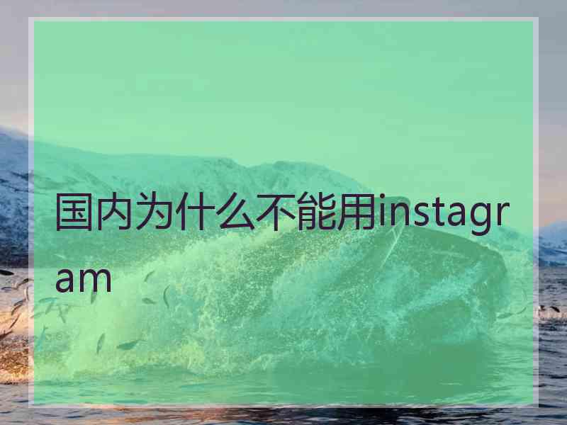 国内为什么不能用instagram