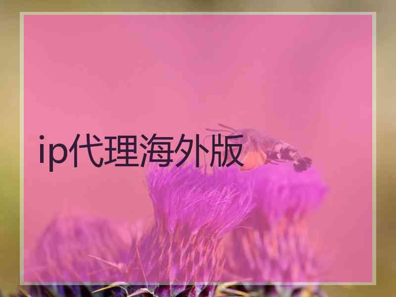 ip代理海外版
