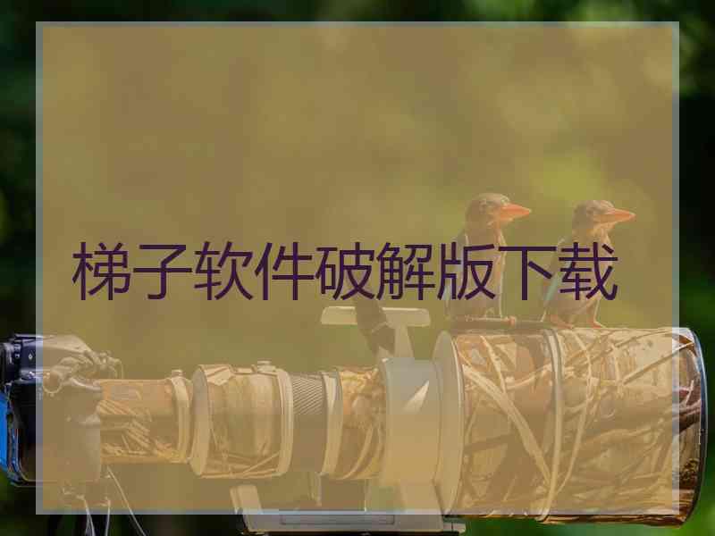 梯子软件破解版下载