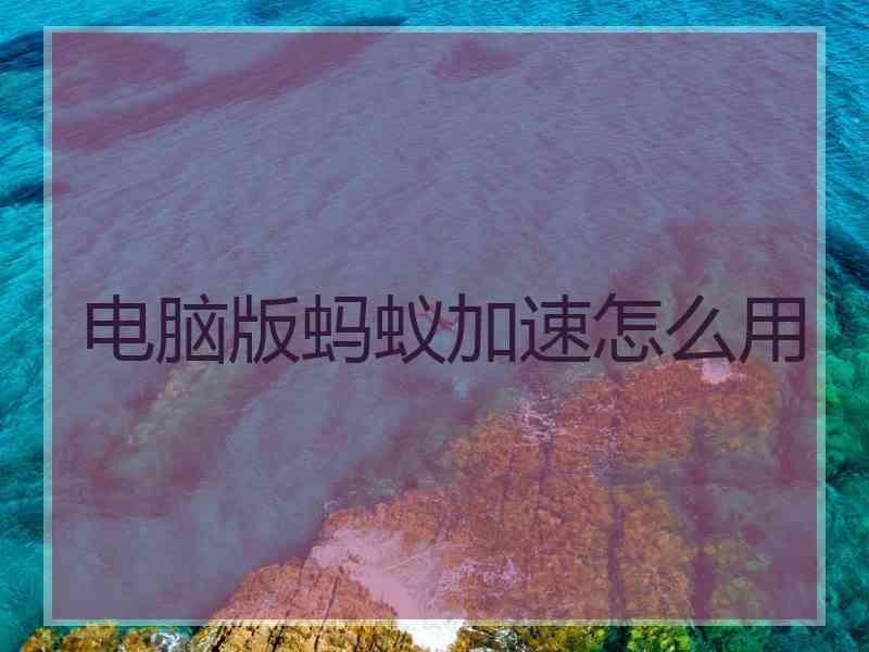 电脑版蚂蚁加速怎么用