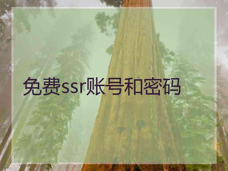 免费ssr账号和密码