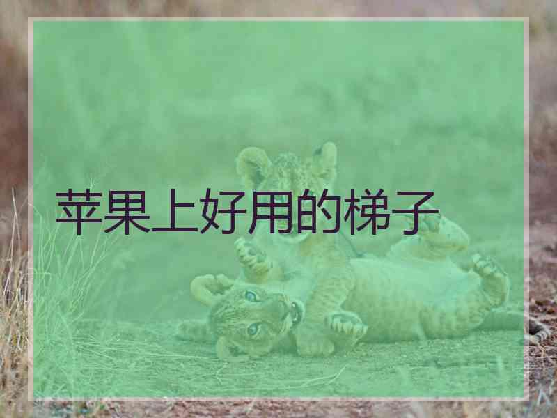 苹果上好用的梯子
