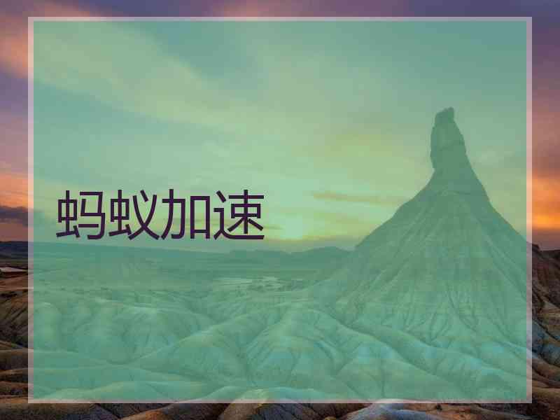 蚂蚁加速
