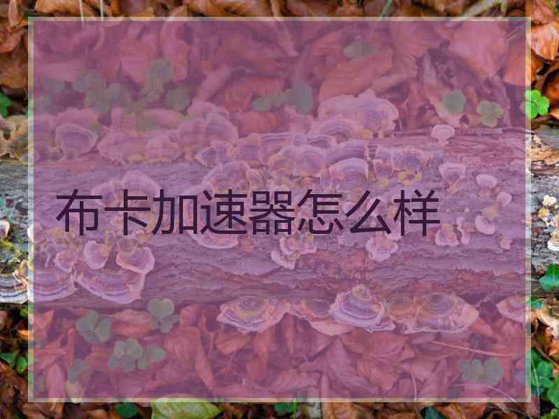 布卡加速器怎么样