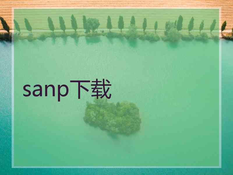 sanp下载