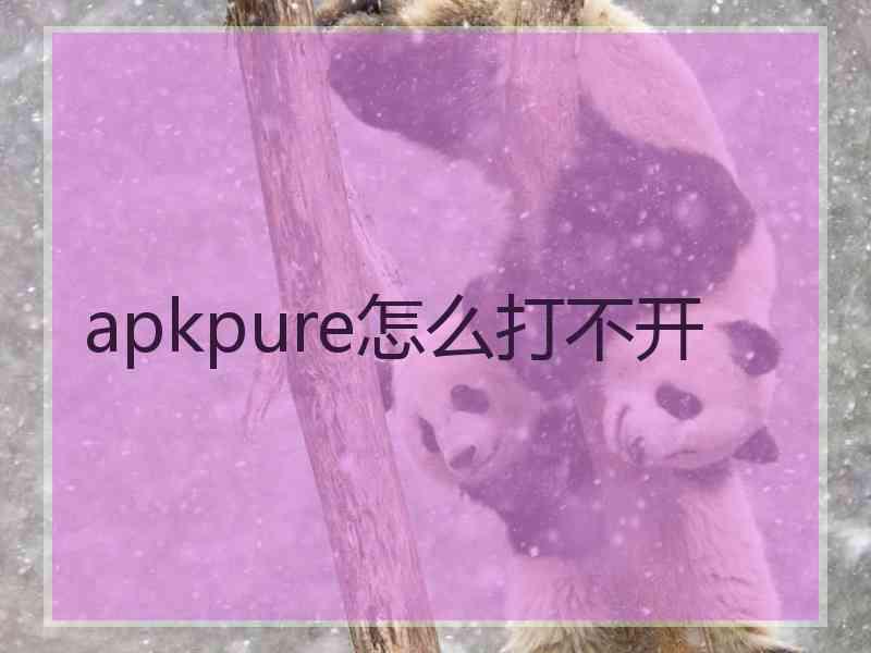 apkpure怎么打不开