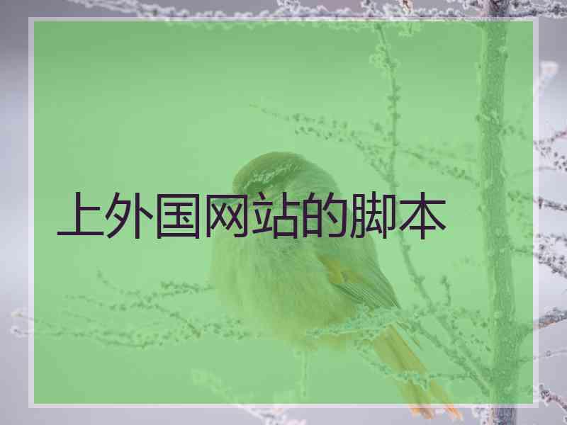 上外国网站的脚本