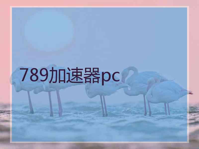 789加速器pc