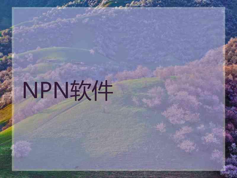 NPN软件