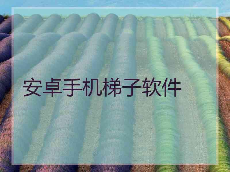 安卓手机梯子软件