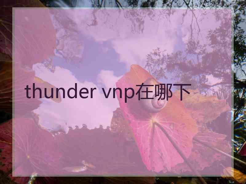 thunder vnp在哪下