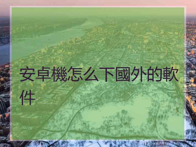 安卓機怎么下國外的軟件