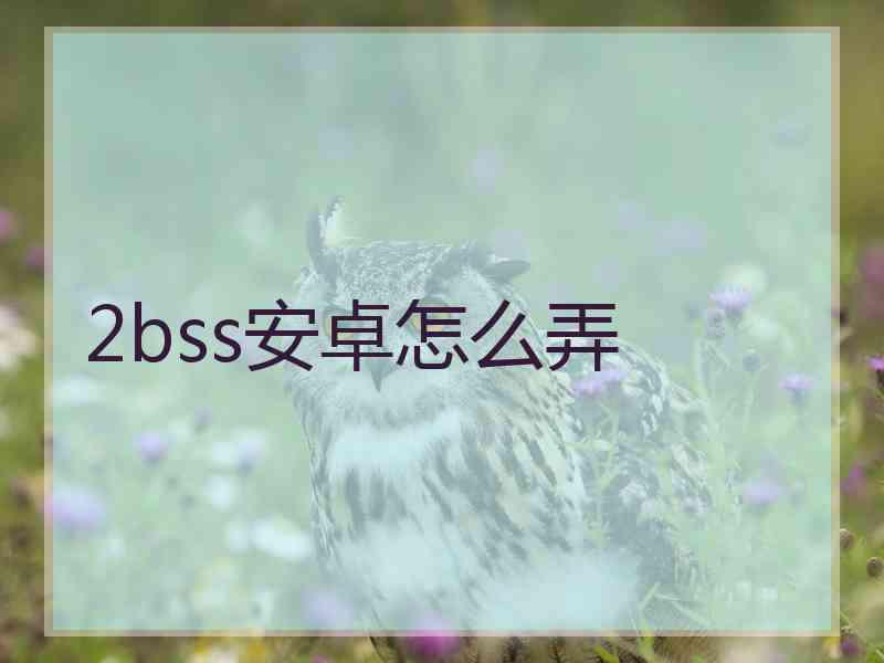 2bss安卓怎么弄