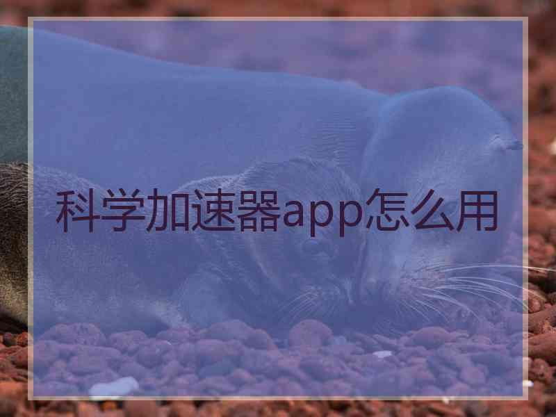 科学加速器app怎么用