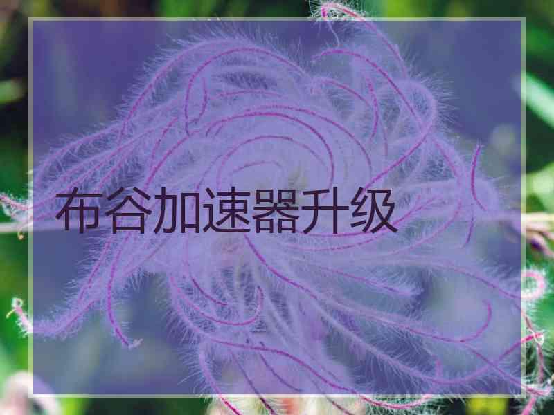 布谷加速器升级