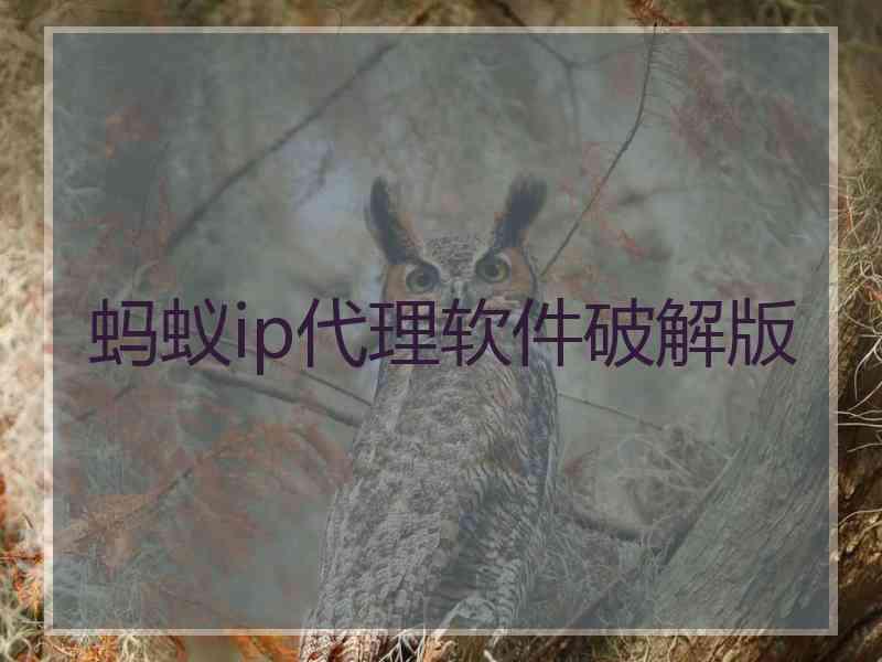 蚂蚁ip代理软件破解版