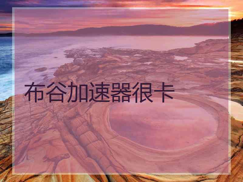 布谷加速器很卡
