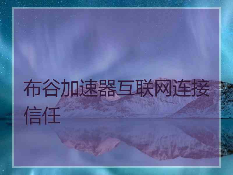 布谷加速器互联网连接信任
