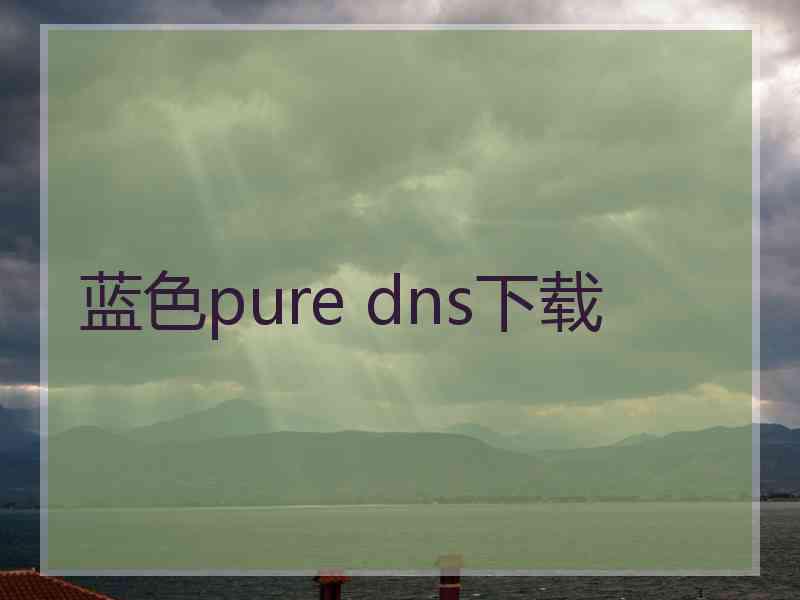 蓝色pure dns下载