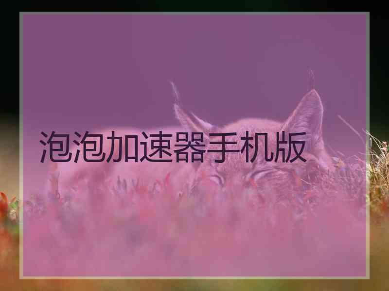 泡泡加速器手机版