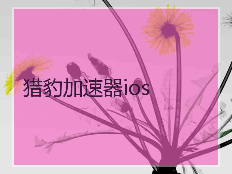 猎豹加速器ios
