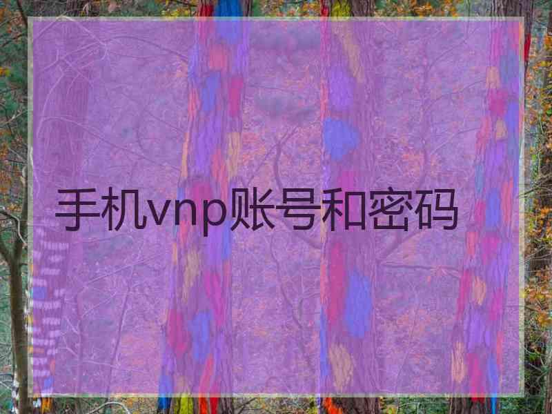 手机vnp账号和密码