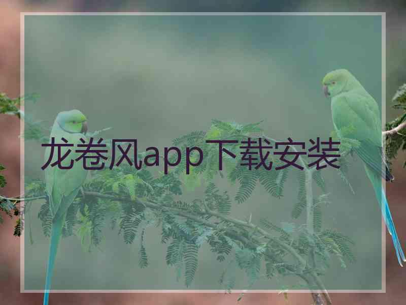 龙卷风app下载安装