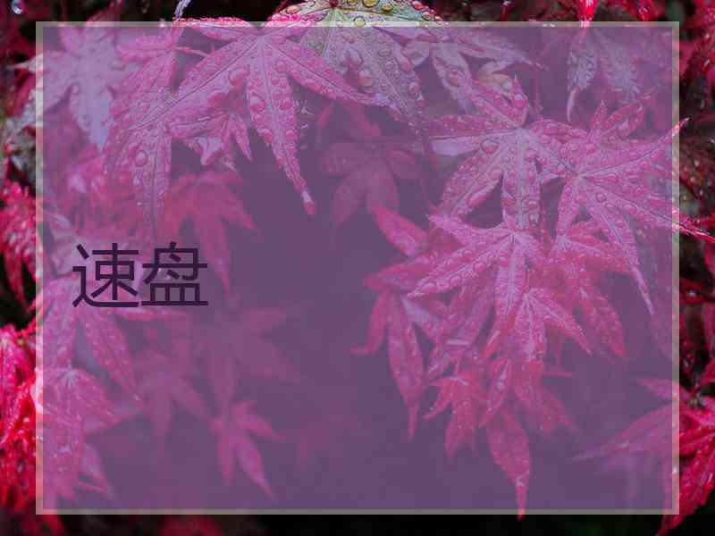 速盘