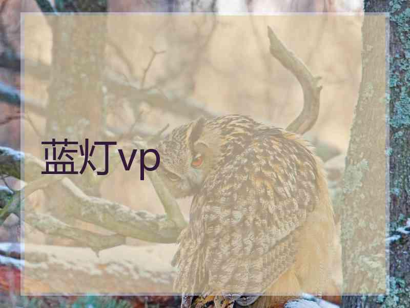 蓝灯vp