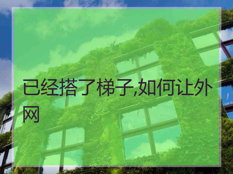 已经搭了梯子,如何让外网