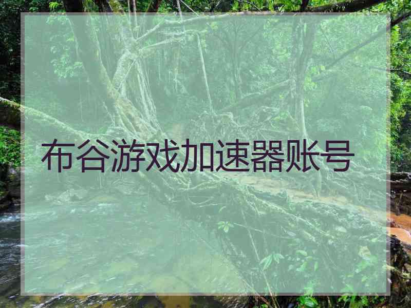 布谷游戏加速器账号