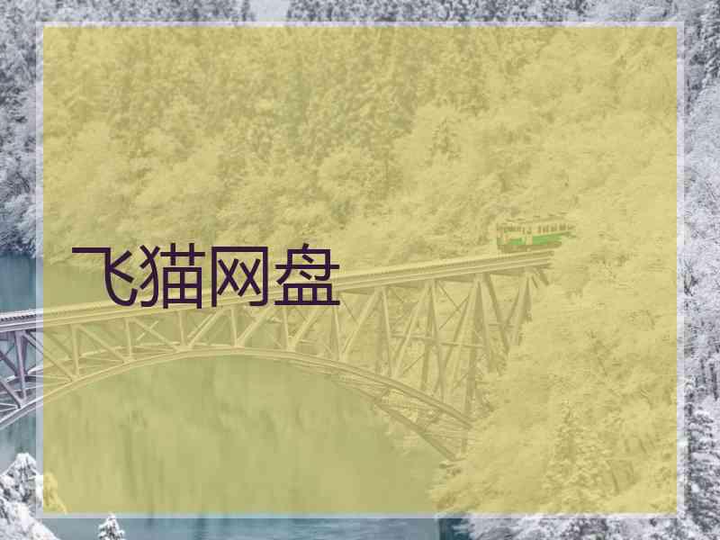 飞猫网盘