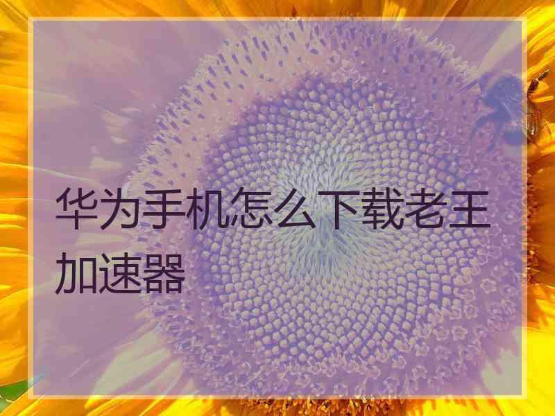 华为手机怎么下载老王加速器