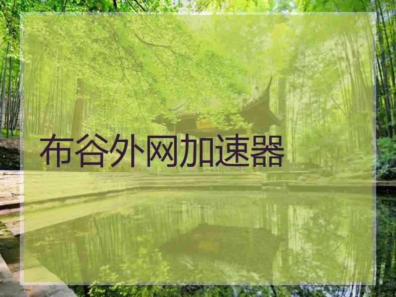 布谷外网加速器