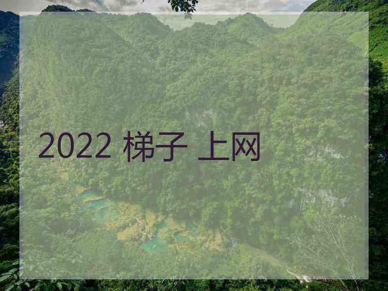 2022 梯子 上网