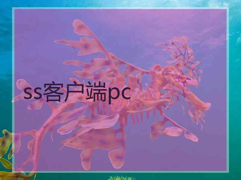 ss客户端pc