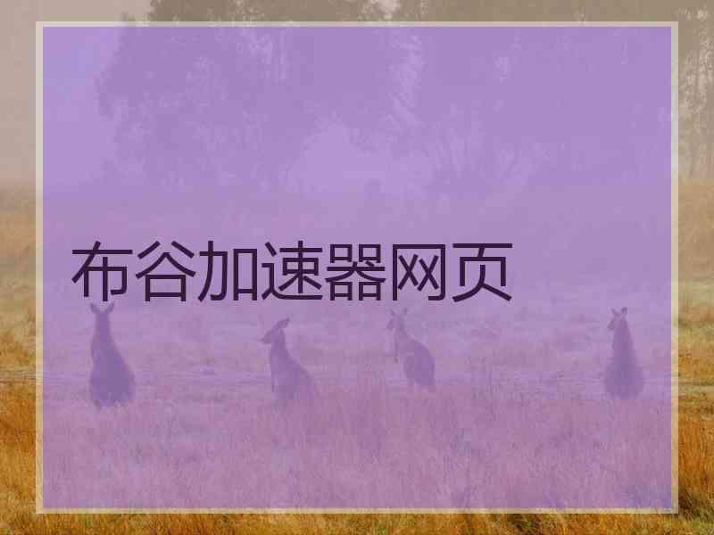 布谷加速器网页