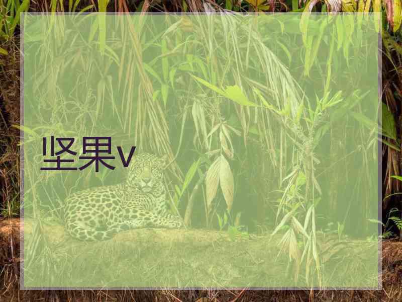 坚果v
