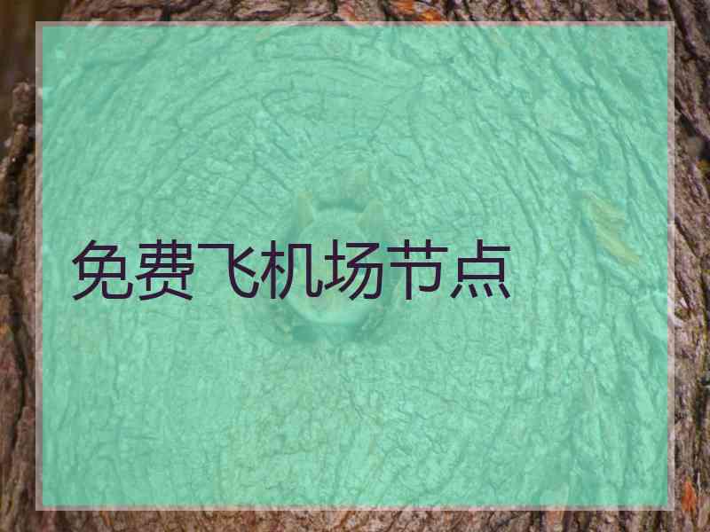 免费飞机场节点