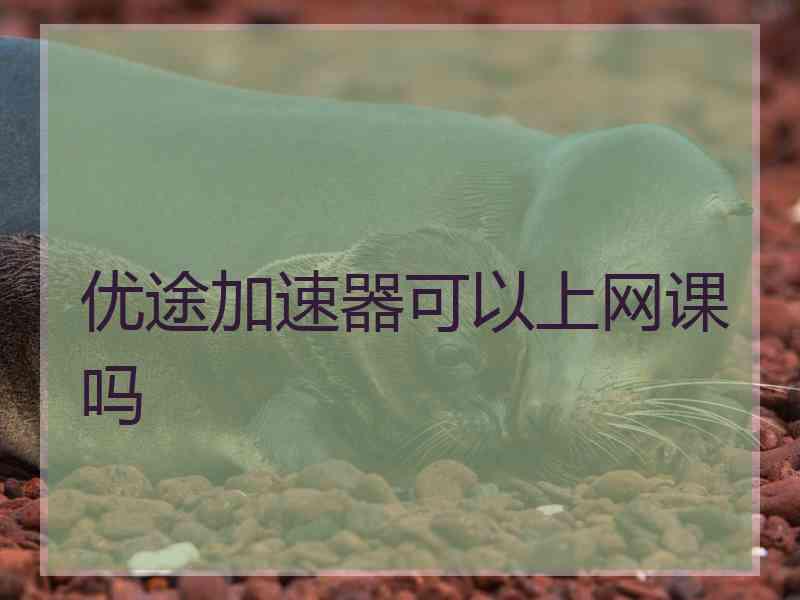 优途加速器可以上网课吗