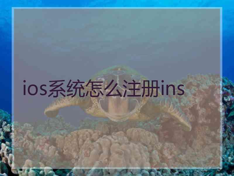 ios系统怎么注册ins