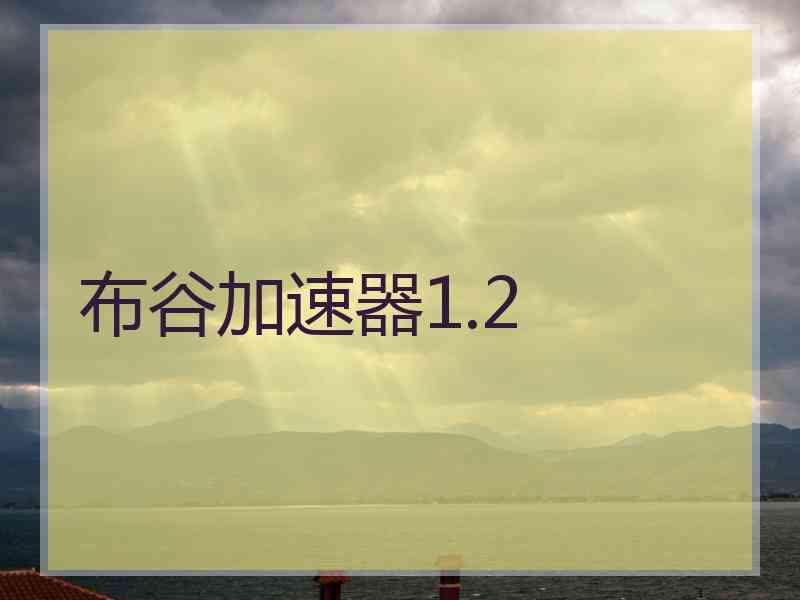 布谷加速器1.2